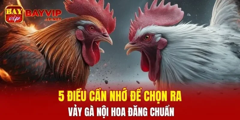 5 điều cần nhớ để chọn ra vảy gà Nội Hoa Đăng chuẩn