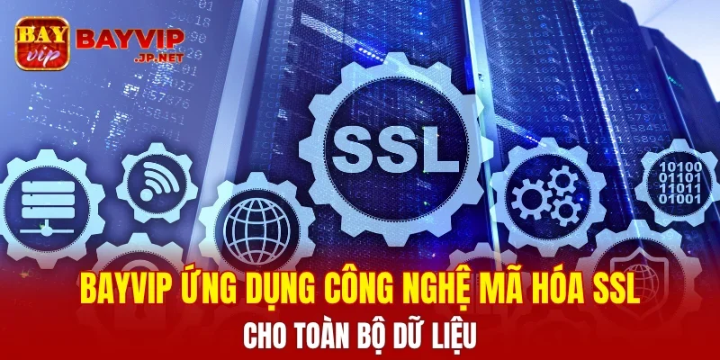 BAYVIP ứng dụng công nghệ mã hóa SSL cho toàn bộ dữ liệu