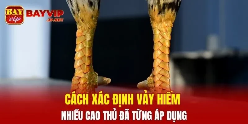 Cách xác định vảy hiếm nhiều cao thủ đã từng áp dụng