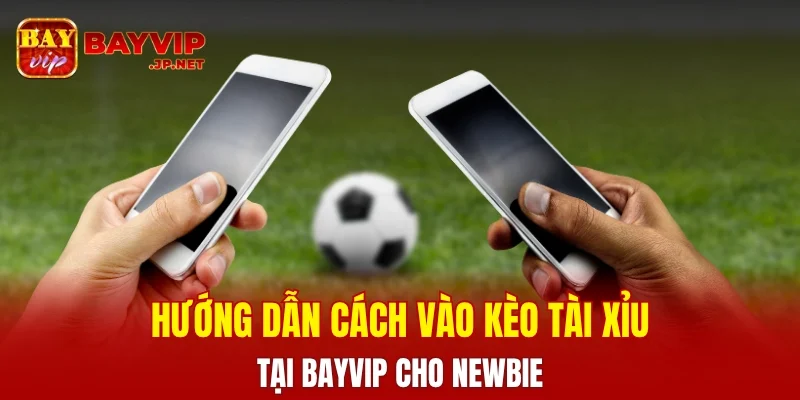 Hướng dẫn cách vào kèo tài xỉu tại BAYVIP cho newbie
