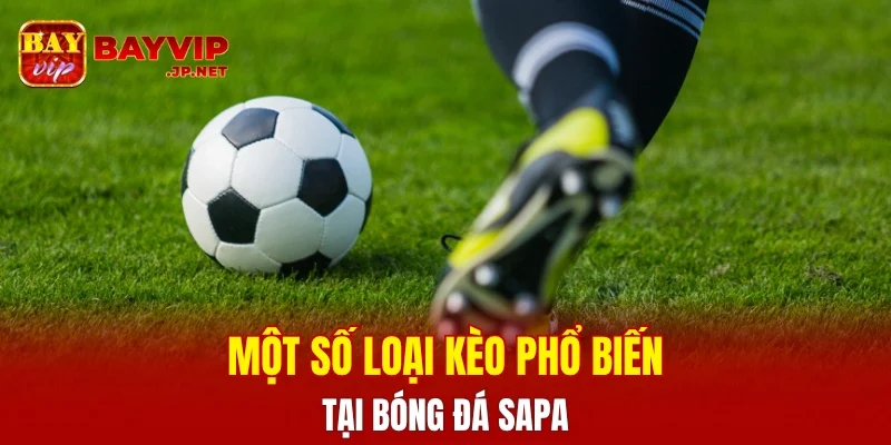 Một số loại kèo cược phổ biến tại bóng đá SAPA