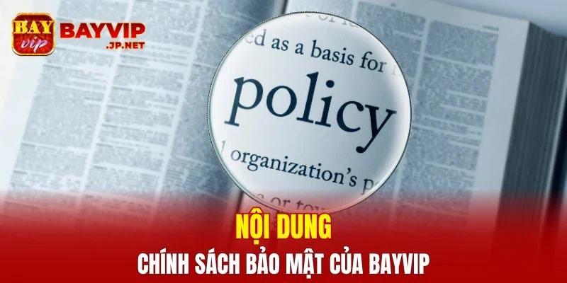 Nội dung chính sách bảo mật của BAYVIP