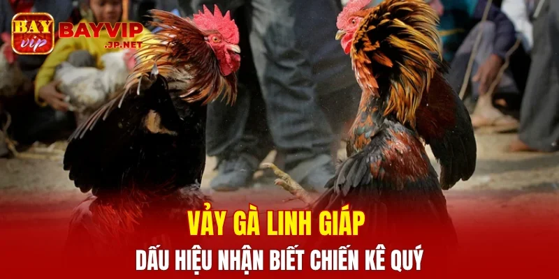 Vảy Gà Linh Giáp