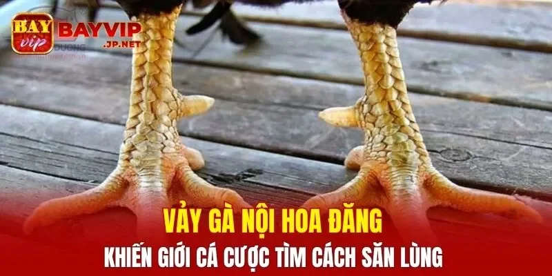 Vảy Gà Nội Hoa Đăng
